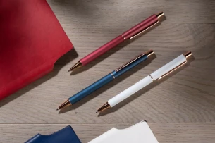 Στυλό στυλό VERNO - μπορντό