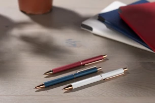 Στυλό στυλό VERNO - μπορντό